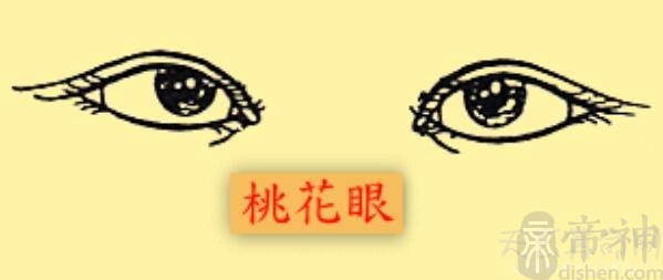 月牙眼属于什么眼型_眼型算命_不同眼型眼线的画法