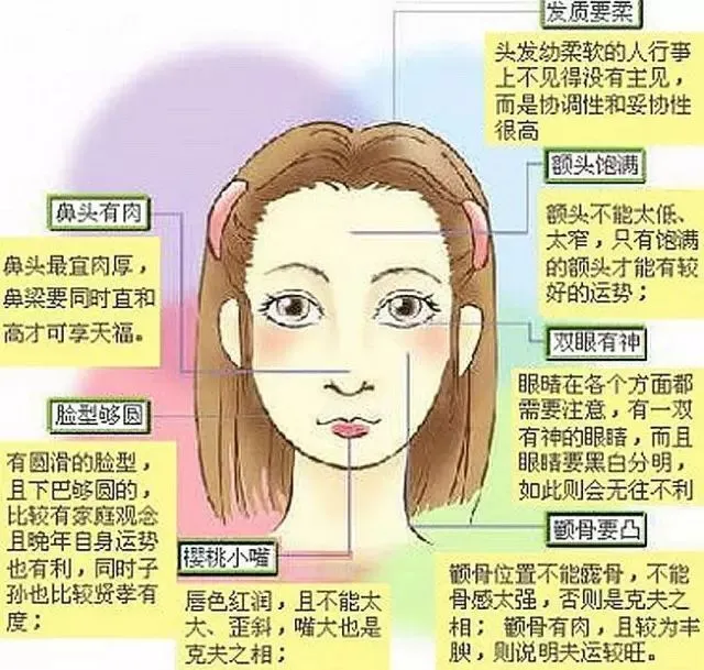 欧美脸型和中国脸型_脸型分类图 脸型与发型的搭配_脸型算命