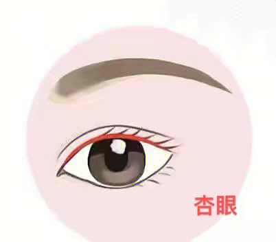 眼型算命_重症肌无力眼型_豆豆眼什么眼型