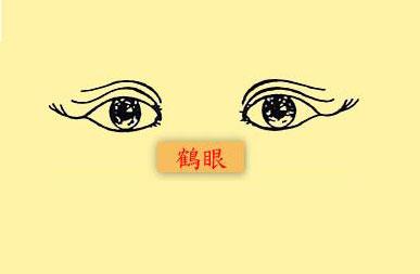 眼型算命_无辜眼是哪种眼型 知乎_观眼识人术眼型图片