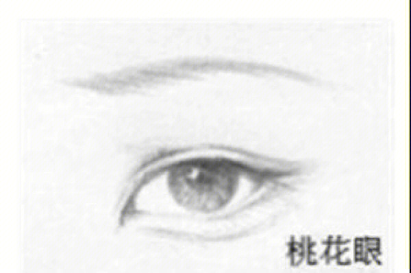 眼型算命_无辜眼是哪种眼型_勾魂眼的眼型图片