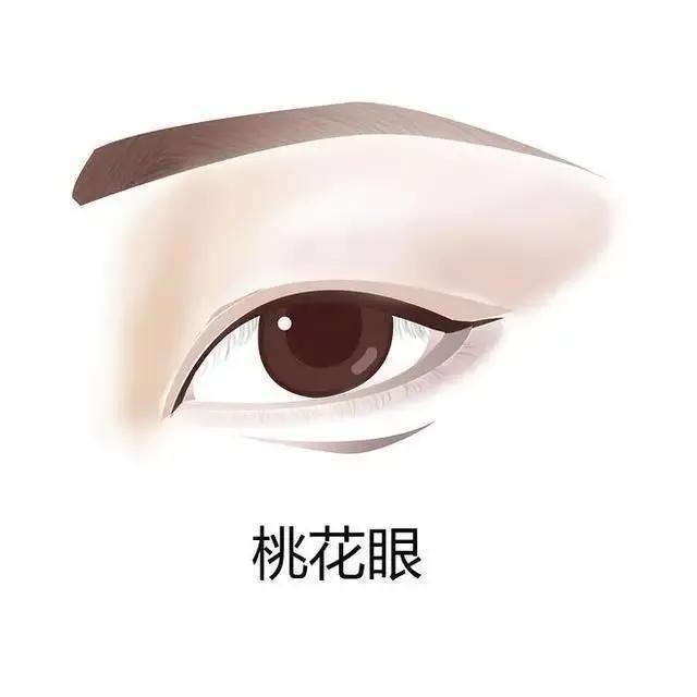 眼型算命_无辜眼是哪种眼型_勾魂眼的眼型图片