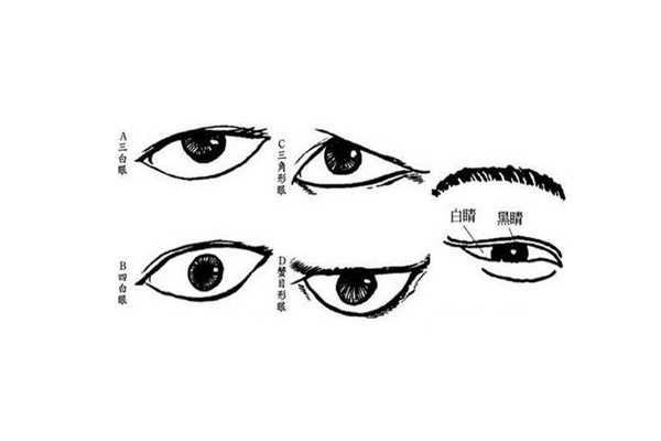 眼型算命_下垂眼是什么眼型_无辜眼是哪种眼型 知乎
