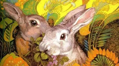1、乙卯兔年各月运势:属兔的今年运势怎么样