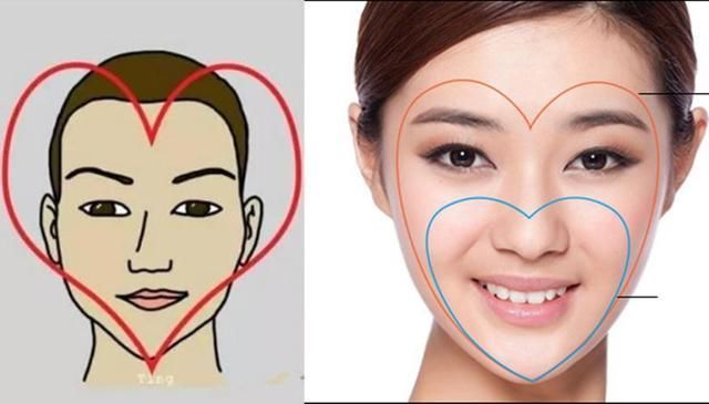 脸型分类图女7种脸型_脸型算命_欧美脸型和中国脸型