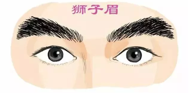 眼型算命_眼型重症肌无力_勾魂眼的眼型图片