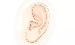 不同的耳朵有着不同的福气，看看你是哪一种？