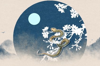巳蛇运势(巳蛇)-星座123