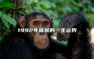 1992年属猴的一生运势 1992年属猴的一生运势怎么样