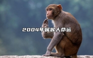 2004年属猴人命运 2004年属猴人的命运